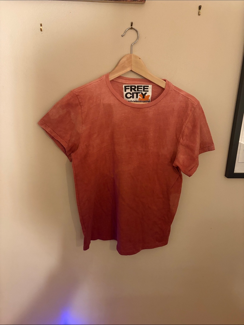 Free city sun bleach tee